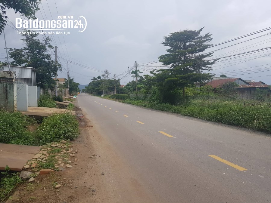 8600m2, sẵn 5600m2 thổ cư mặt tiền khu bàn cờ cư xá liên hiệp, đức trọng