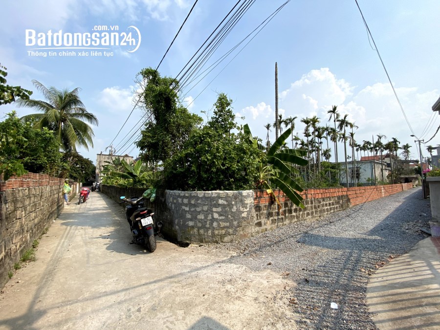 Bán đất Đường Liên Thôn Đông, Xã Thủy Sơn, Huyện Thuỷ Nguyên