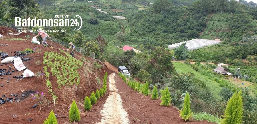CẦN TIỀN CHÍNH CHỦ BÁN MẢNH ĐẤT Vị Trí Đẹp Tại Xuân Sơn, Thành Phố Đà