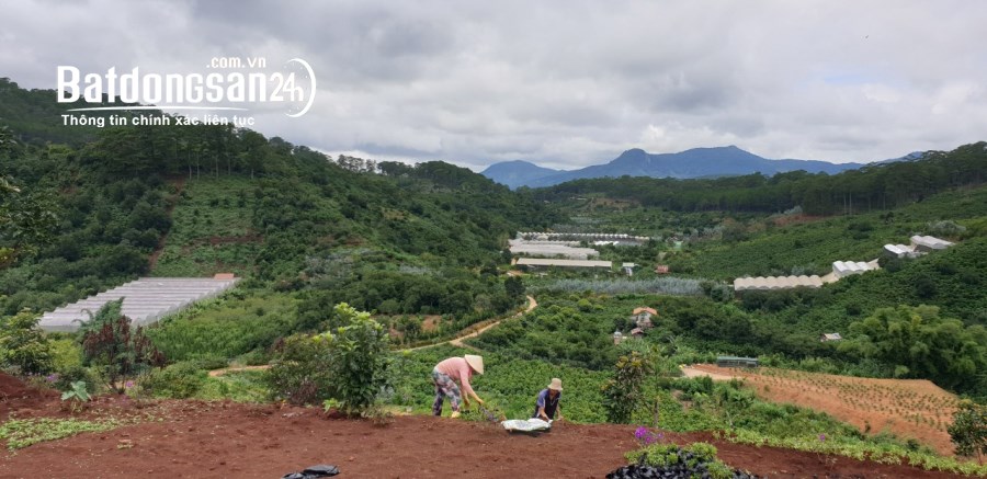 CẦN TIỀN CHÍNH CHỦ BÁN MẢNH ĐẤT Vị Trí Đẹp Tại Xuân Sơn, Thành Phố Đà