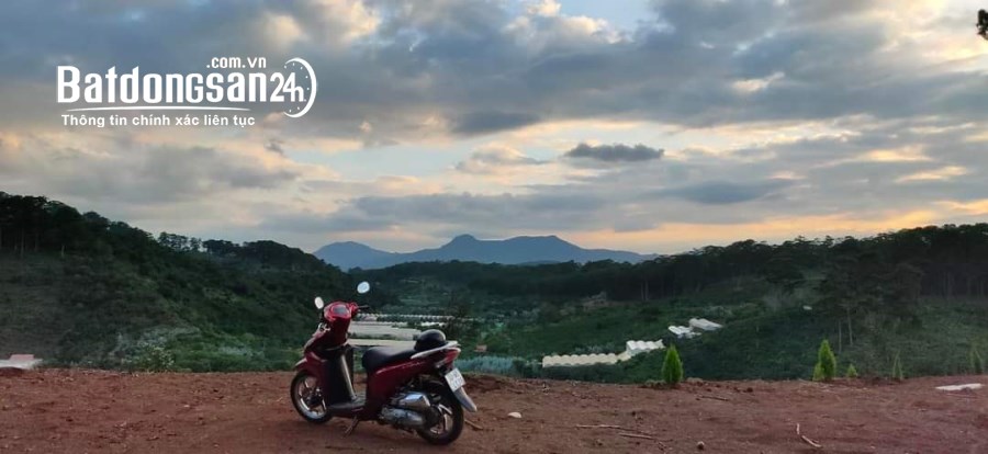 CẦN TIỀN CHÍNH CHỦ BÁN MẢNH ĐẤT Vị Trí Đẹp Tại Xuân Sơn, Thành Phố Đà