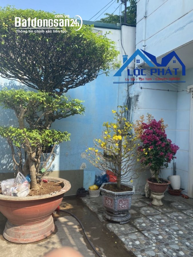 Bán nhà mặt phố Đường Đặng Đức Thuật, Phường Tam Hòa, TP Biên Hòa