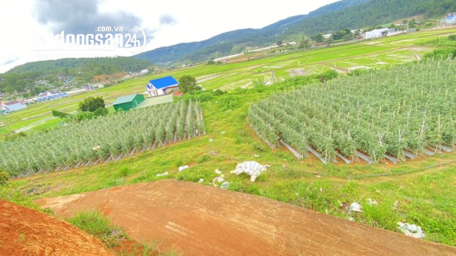 Bán đất hẻm thông 2 đầu, thuộc k'rèn, hiệp an đức trọng