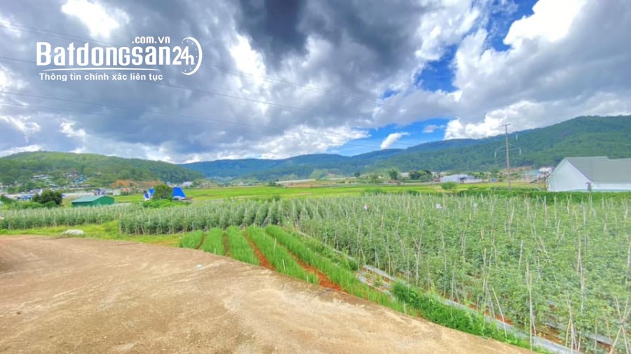 Bán đất hẻm thông 2 đầu, thuộc k'rèn, hiệp an đức trọng