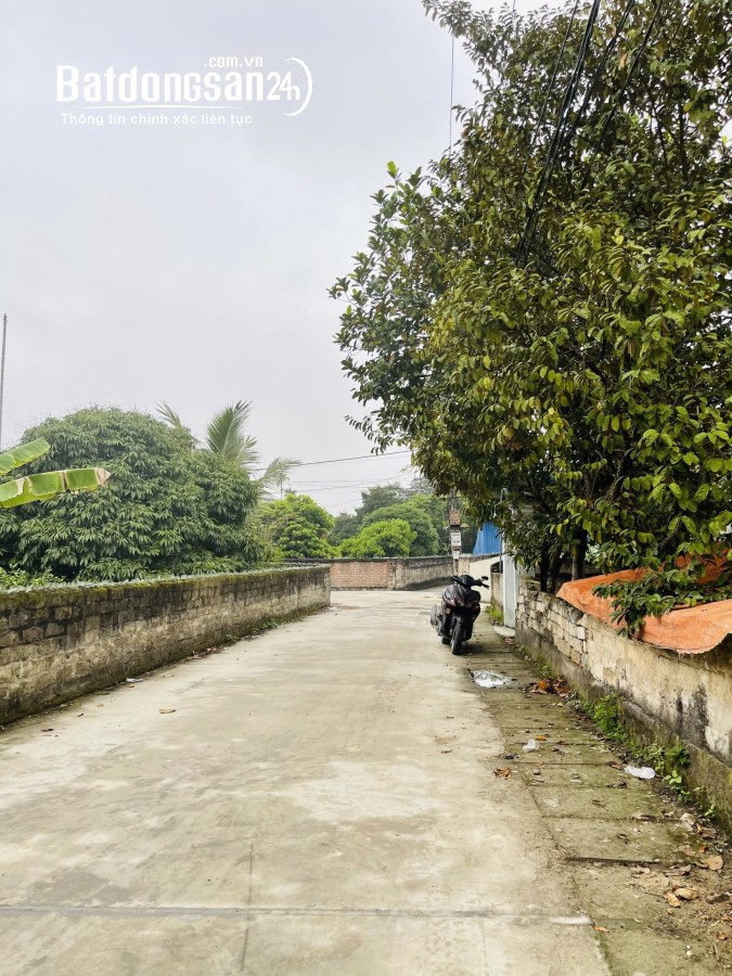 Bán đất Đường Liên Thôn Đông, Xã Hợp Thành, Huyện Thuỷ Nguyên