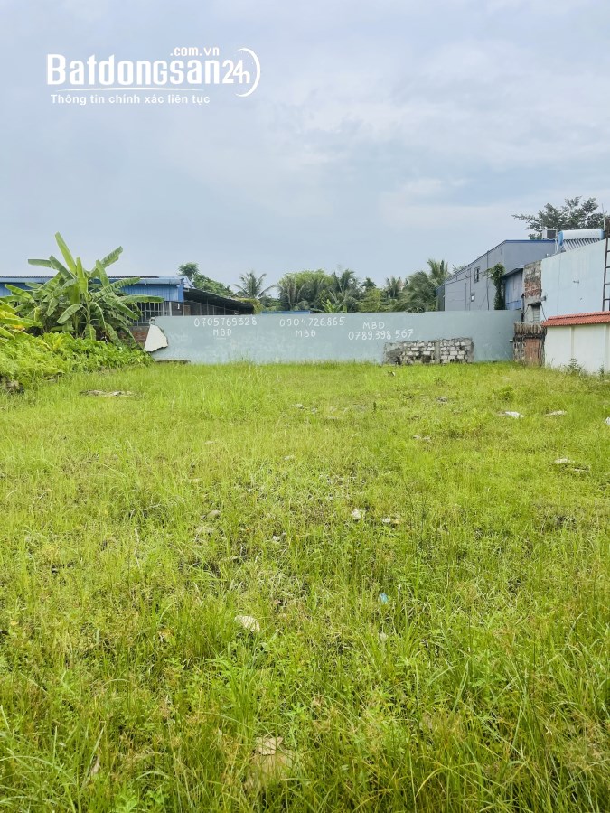 Bán đất Đường Liên Xã, Xã Dương Quan, Huyện Thuỷ Nguyên