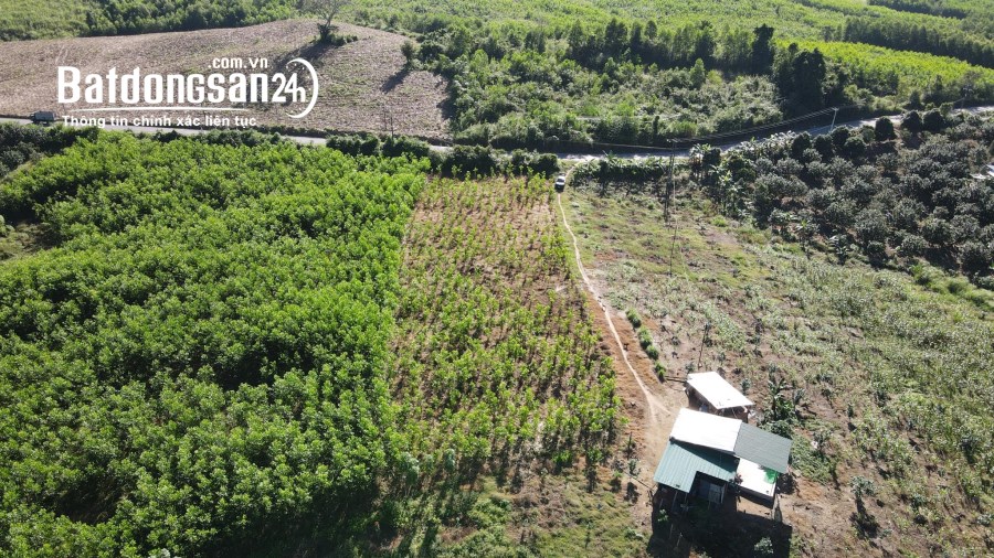 Bán đất qh thổ cư Đường Tỉnh Lộ 8B, Xã Khánh Nam, Huyện Khánh Vĩnh giá rẻ