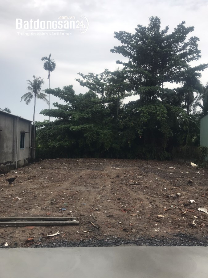 Bán 300m2 đất sổ riêng thổ cư giá nào cũng bán
