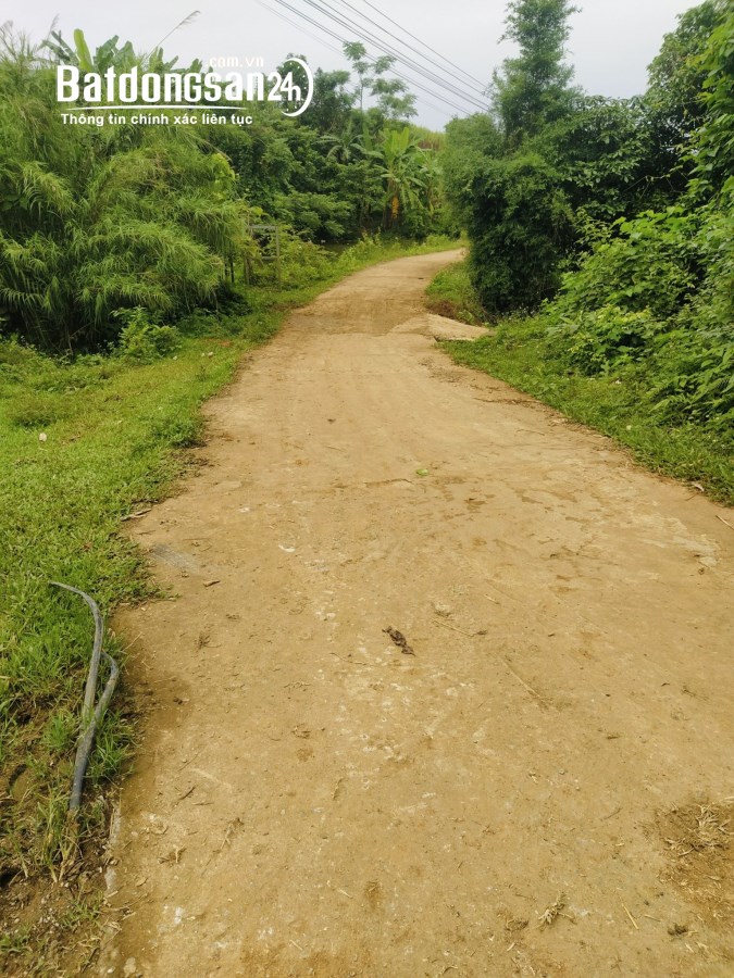 CẮT LỖ LÔ ĐẤT ĐẦU TƯ VÀ KHAI THÁC NGHĨ DƯỠNG – HỢP PHONG – CAO PHONG – HÒA BÌNH, 2285