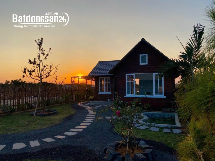 Bán biệt thự, villas Đường Đào Duy Từ, Xã Tân Sơn, TP Plei Ku