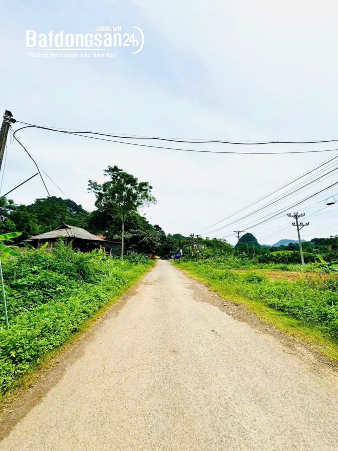 CẦN BÁN MẢNH ĐẤT SUỐI HOA – TÂN LẠC – HÒA BÌNH, 2176M, 1,350 TỶ