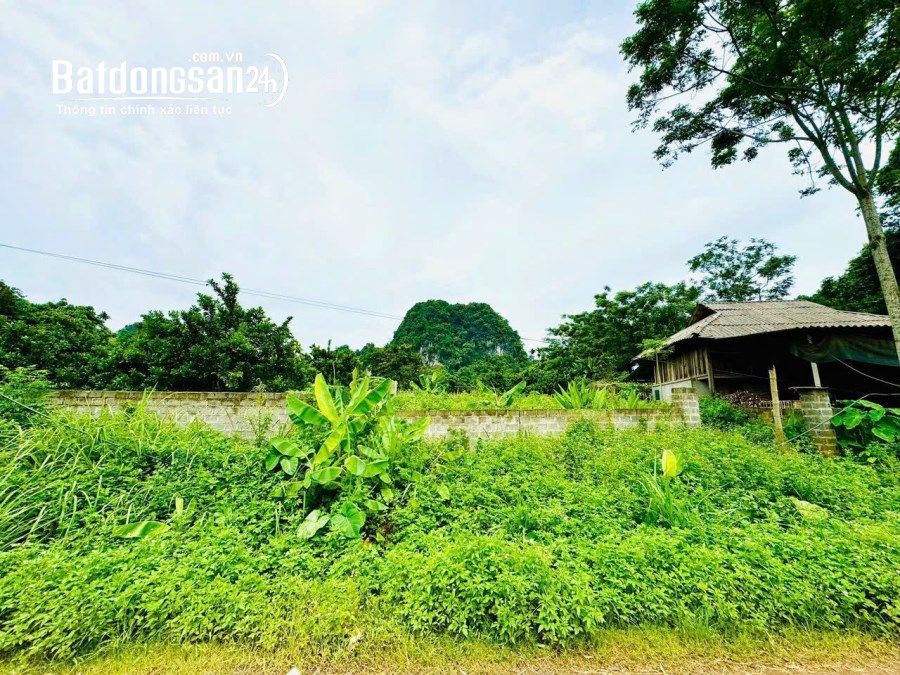 CẦN BÁN MẢNH ĐẤT SUỐI HOA – TÂN LẠC – HÒA BÌNH, 2176M, 1,350 TỶ