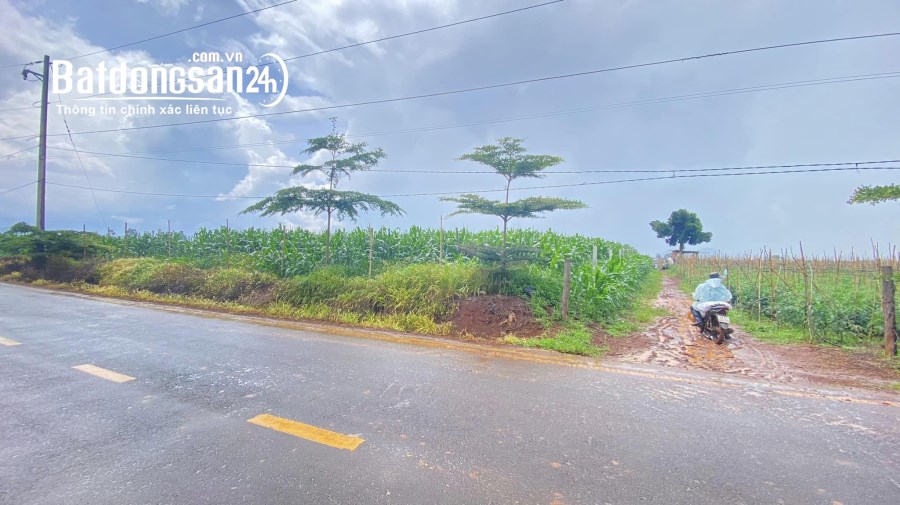 1700m2, Đất mặt tiền dh1 gần ngã 3, thuộc n'thôn hạ đức trọng quá rẻ