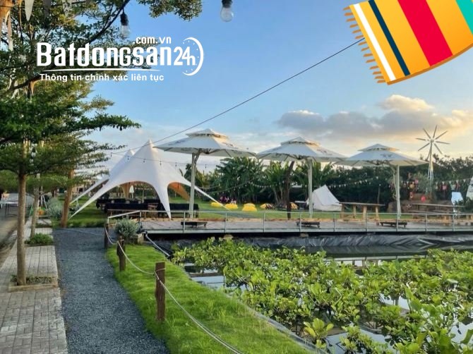 Chuyển công tác xa, cần bán gấp lô đất ngay Big C Biên Hòa, chỉ 1tỷ250 thương lượng