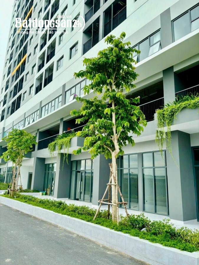 Bán căn hộ chung cư Legacy Central, Đường Thuận Giao 21, Tp - Thuận An