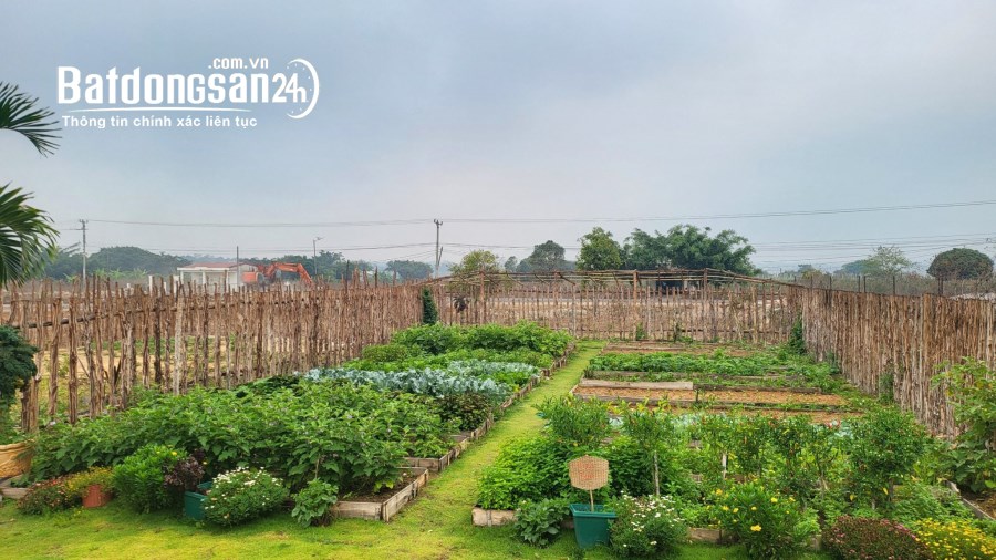 Bán biệt thự, villas Đường Đào Duy Từ, Xã Tân Sơn, TP Plei Ku