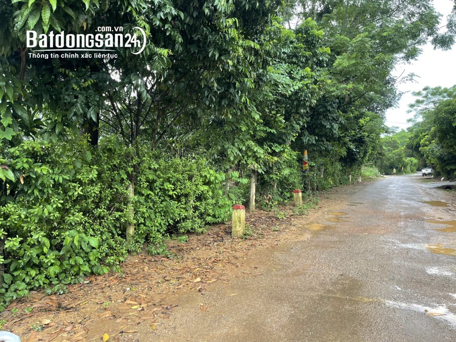 Bán đất Đường 6, Xã Mông Hóa, Huyện Kỳ Sơn