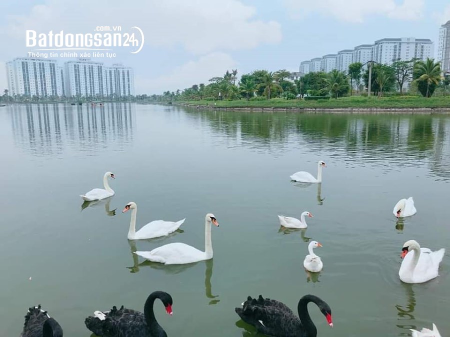 BÁN LÔ LIỀN KỀ A1.2 CỰC ĐẸP KĐT THANH HÀ- giá đầu tư