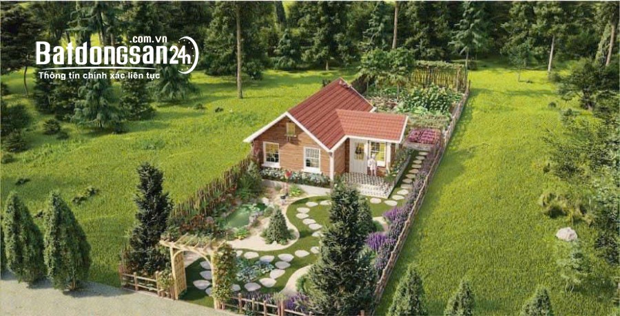 Bán đất nền phân lô Đường Đào Duy Từ, Xã Tân Sơn, TP Plei Ku