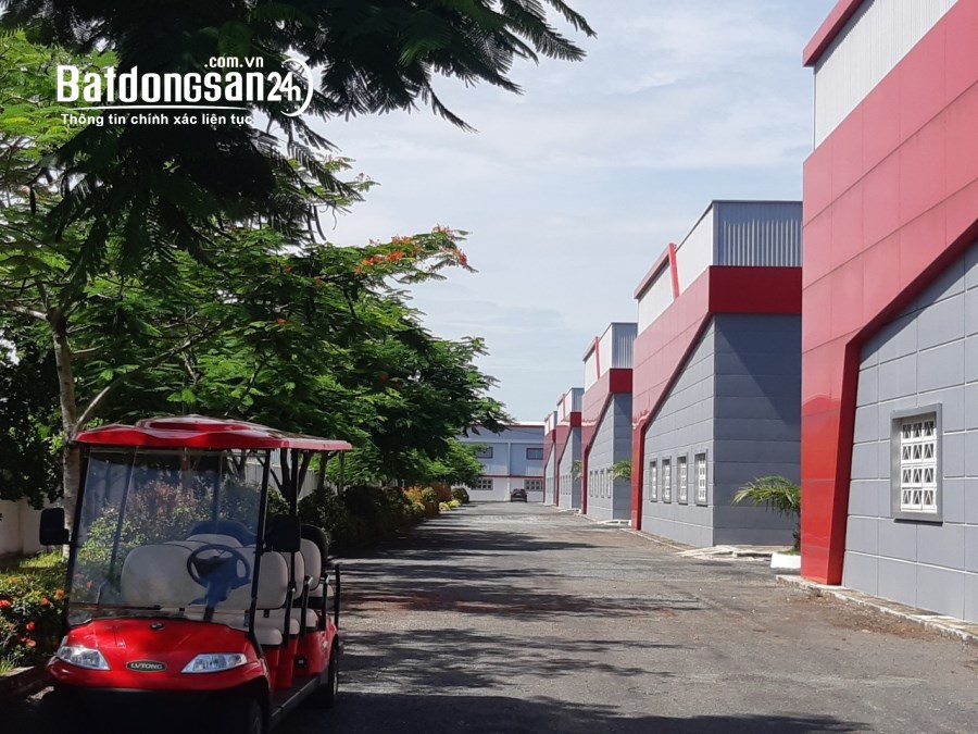 Cho thuê đất riêng, kho xưởng Đường Tỉnh lộ 835, Xã Phước Lý, Huyện Cần Giuộc