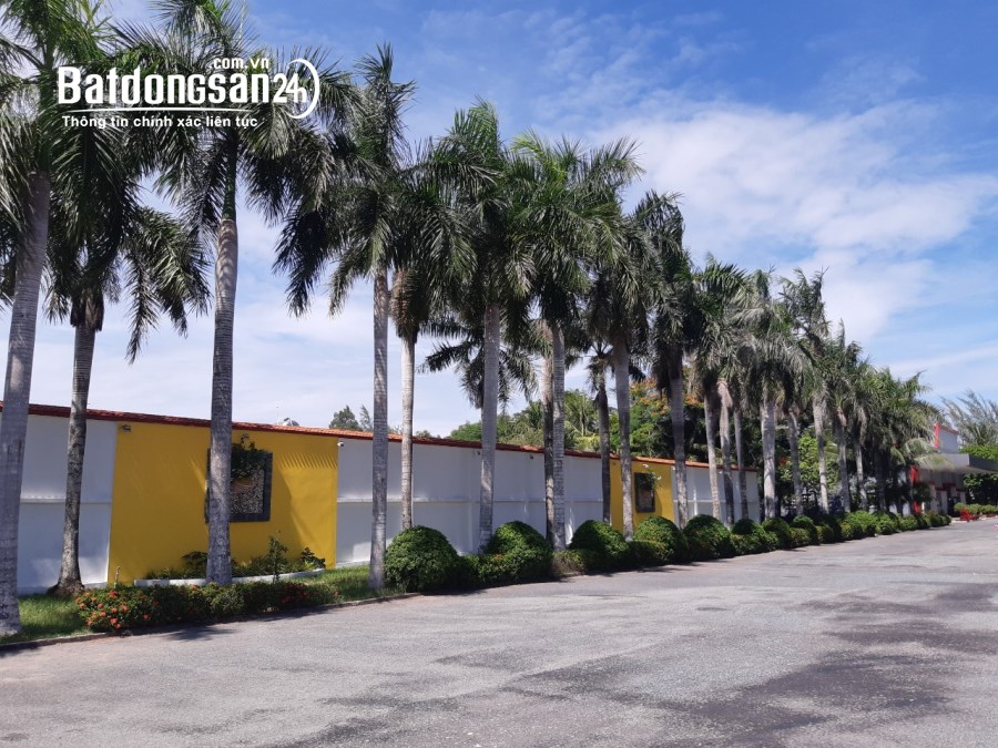 Cho thuê đất riêng, kho xưởng Đường Tỉnh lộ 835, Xã Phước Lý, Huyện Cần Giuộc