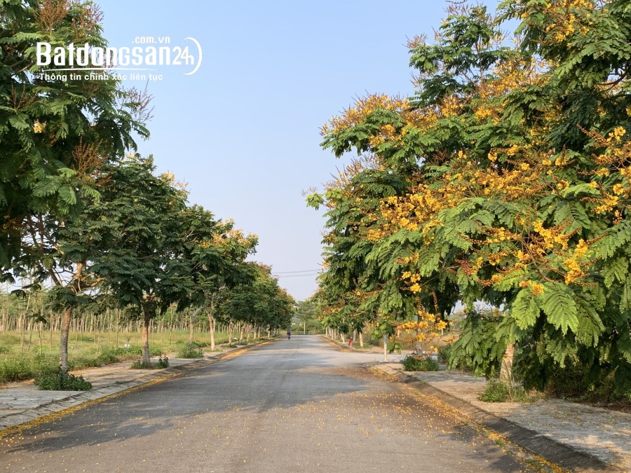 Siêu phẩm Khu dịch vụ hỗn hợp VSIP QUảng Ngãi 132m2 giá chỉ 9xx