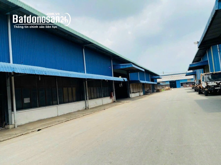 Cần Cho Thuê Nhà Xưởng 31.000m2 Tân Uyên Bình Dương 