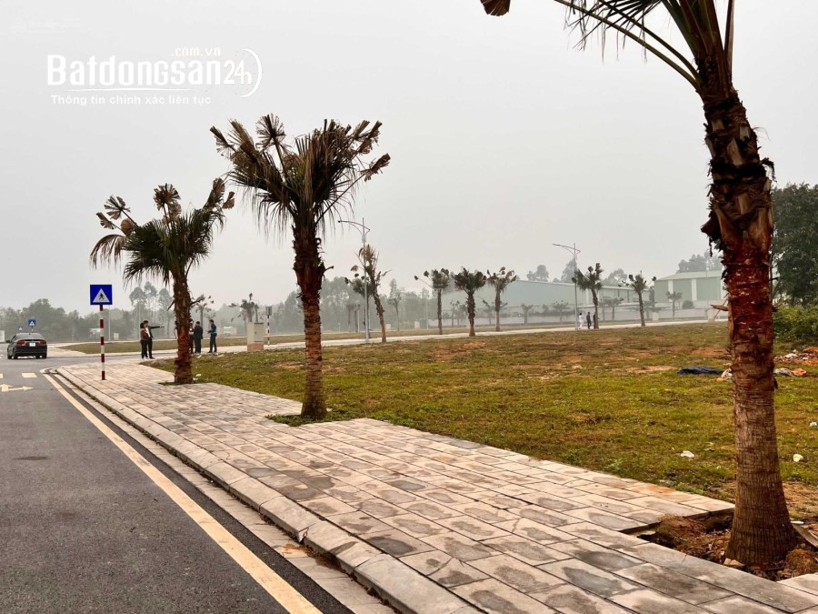 Bán đất Việt Trì Spring City DT 90m2 , Vân Phú, Việt Trì giá 2 tỷ