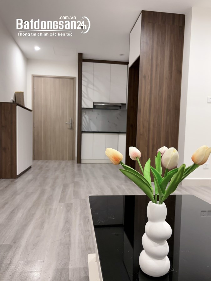 Siêu phẩm 2pn 1wc view biệt thự triệu đô chỉ 2,45 tỷ bp tại vinhomes ocean park