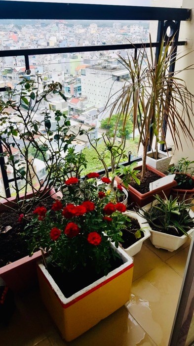 Bán căn hộ chung cư Đường Phan Huy Ích, Phường 15, Quận Tân Bình