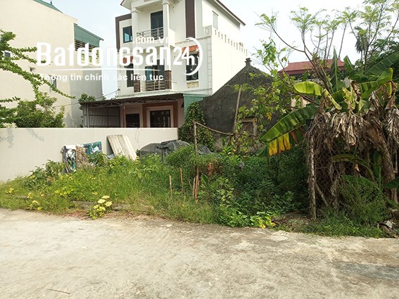 Đất mặt đê Vĩnh Ngọc, Lô góc, Oto tránh. DT: 300m2, MT 15m. Giá: 100tr/m2