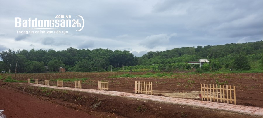 Bán đất Xã Minh Thành, TX Chơn Thành, Bình Phước
