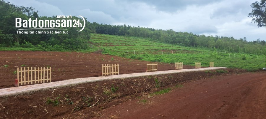 Bán đất Xã Minh Thành, TX Chơn Thành, Bình Phước