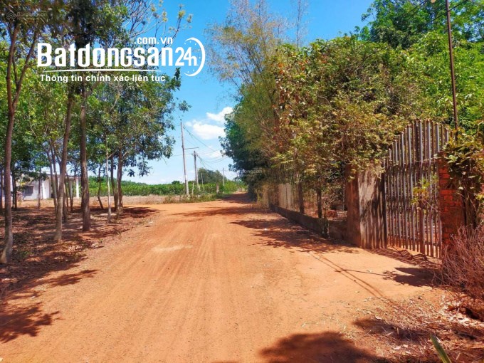 Giá rẻ 250m2 TC đất Chơn Thành Ngộp 2xxtr hết đất  sổ sẵn 