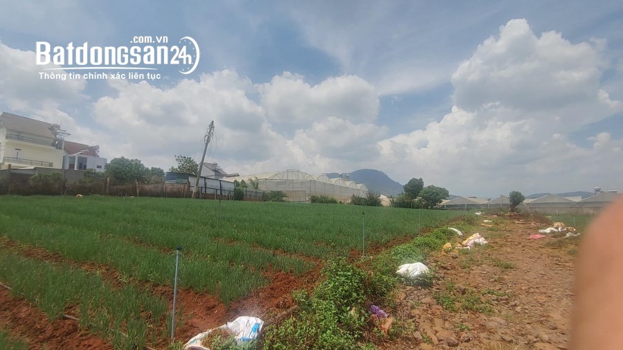 Tổng 4200m2 đất mặt tiền ql20, hiệp an đức trọng, gần khu làng gà