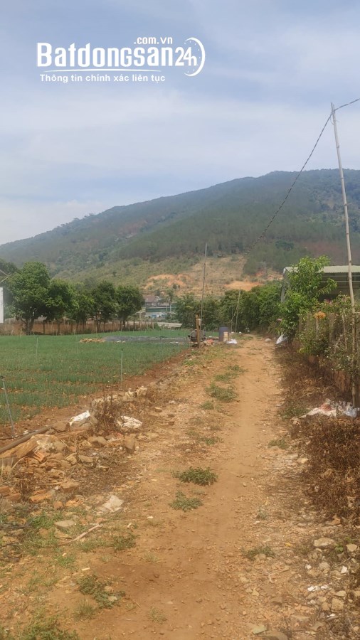 Tổng 4200m2 đất mặt tiền ql20, hiệp an đức trọng, gần khu làng gà