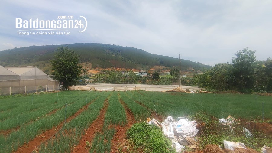 Tổng 4200m2 đất mặt tiền ql20, hiệp an đức trọng, gần khu làng gà