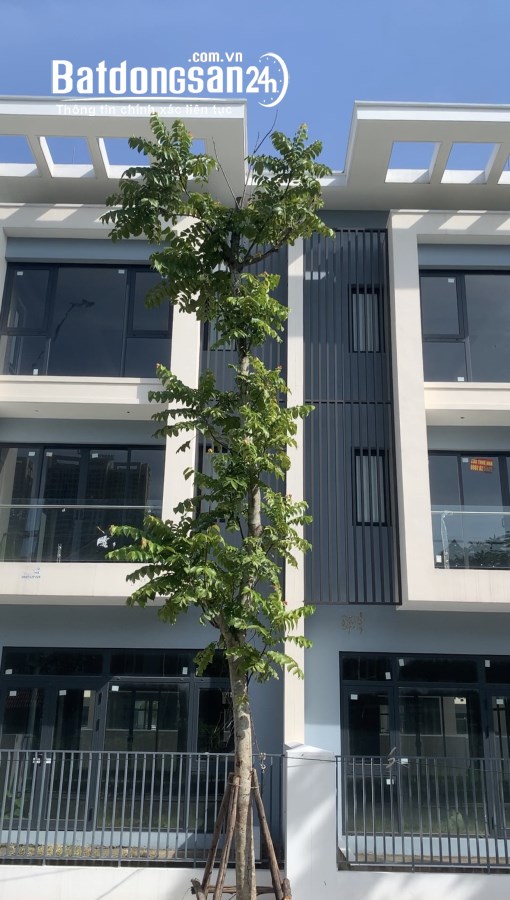 🏡 Bán Nhà Thang Máy Xịn Sò – Nguyễn Văn Trỗi – Kinh Doanh Đỉnh Cao, Ô Tô Đỗ Cửa
