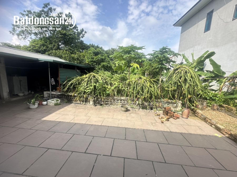 Bán đất  Xã Kim Long, Huyện Tam Dương