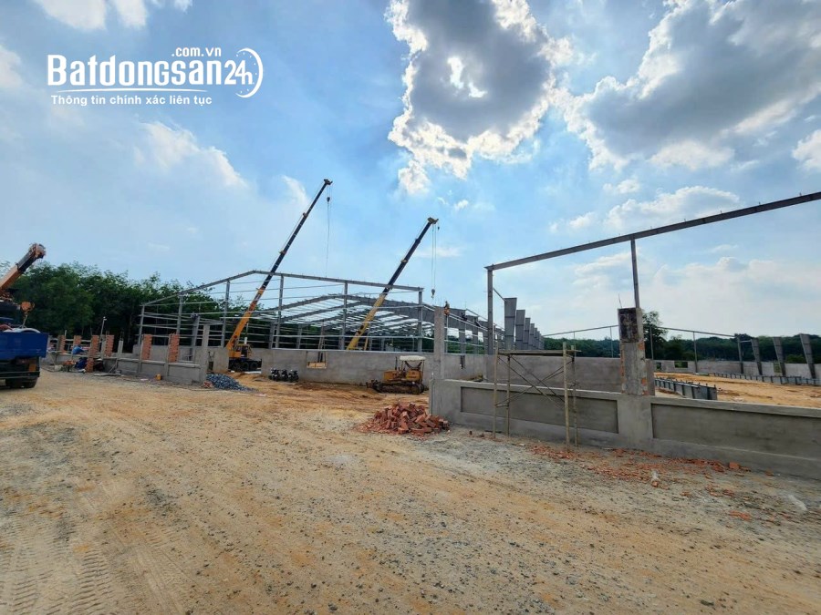 Cho thuê 2000m2 , 3000 m2 , 8000m2 Xưởng mới Gía : 62.000đ/m2 , Tân Uyên Bình Dương