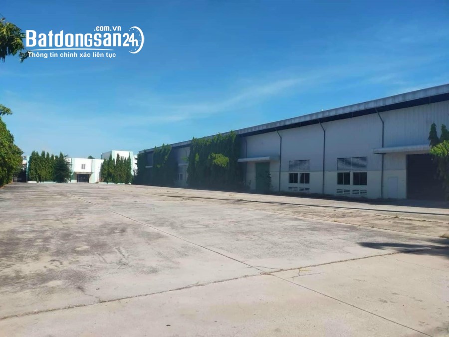 Cho thuê kho & xưởng tiêu chuẩn tại Đà Nẵng: Diện tích từ 2000m² đến 23.000m² 
