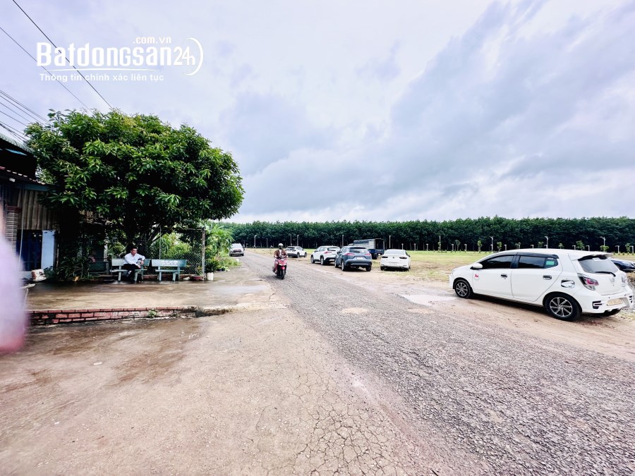 KẸT TIỀN THANH LÝ GẤP NỀN ĐẤT SIÊU ĐẸP NGAY TRUNG TÂM THÀNH PHỐ ĐỒNG XOÀI.