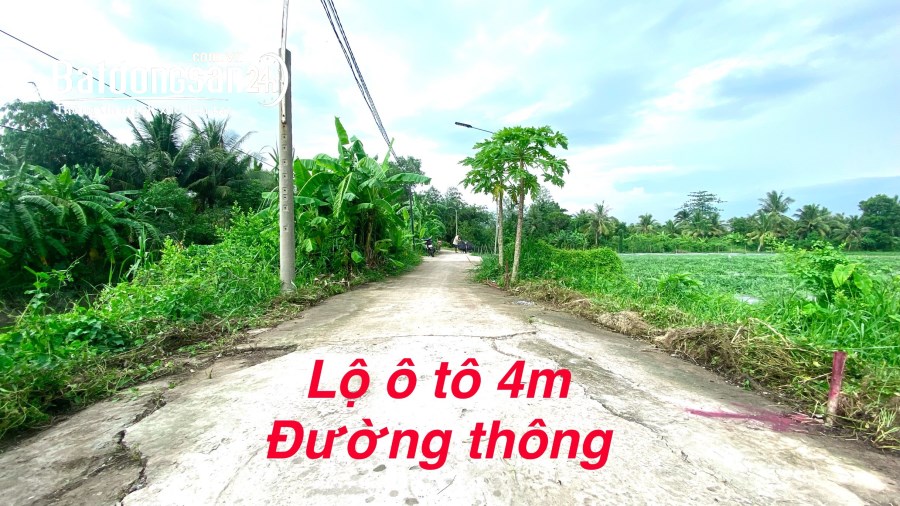 #246 || Nền Đẹp 493m2 Có 300 Thổ Cư, Kế Chợ Mỹ Khánh, Gần ĐH Nam Cần Thơ. 