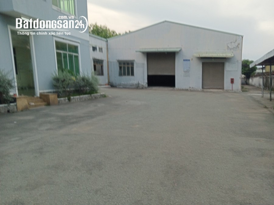 Cho thuê đất riêng, kho xưởng Đường Nguyễn Ảnh Thủ, Phường Hiệp Thành, Quận 12