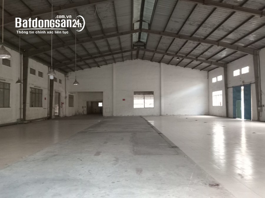 Cho thuê đất riêng, kho xưởng Đường Nguyễn Ảnh Thủ, Phường Hiệp Thành, Quận 12