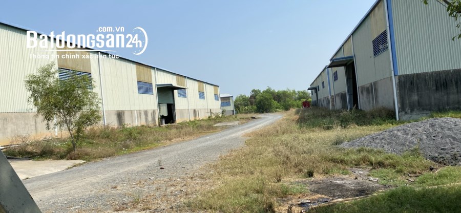 Bán nhà 50000m2 mặt tiền Đường 22B, Xã Cẩm Giang, Huyện Gò Dầu