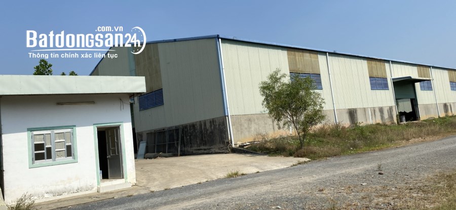Bán nhà 50000m2 mặt tiền Đường 22B, Xã Cẩm Giang, Huyện Gò Dầu