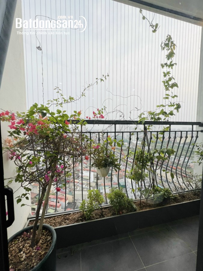 Bán căn hộ chung cư Geleximco Souther Star, Đường Giải Phóng, Quận Hoàng Mai