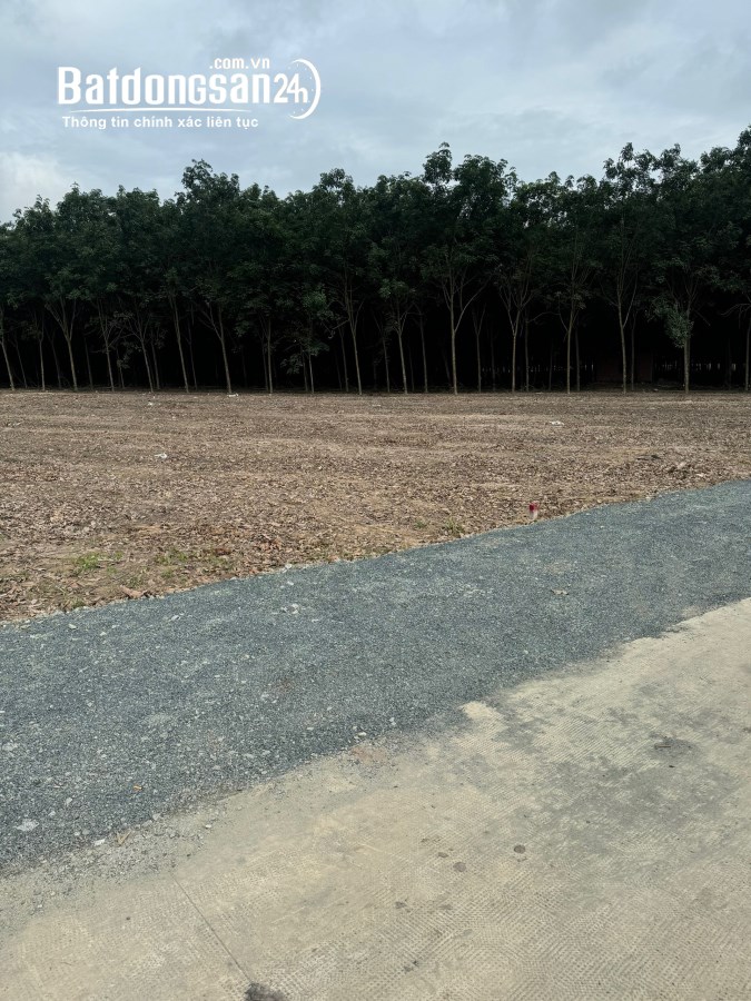 Bán đất Đường 13, Xã Minh Hưng, TX Chơn Thành