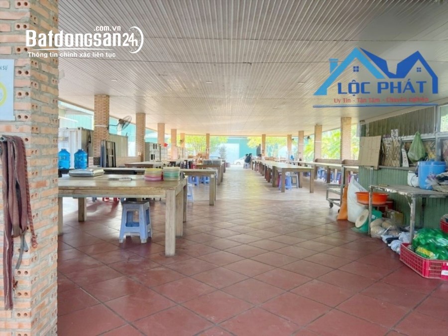 Bán kho xưởng, trang trại Đường 767, Xã Hố Nai 3, Huyện Trảng Bom